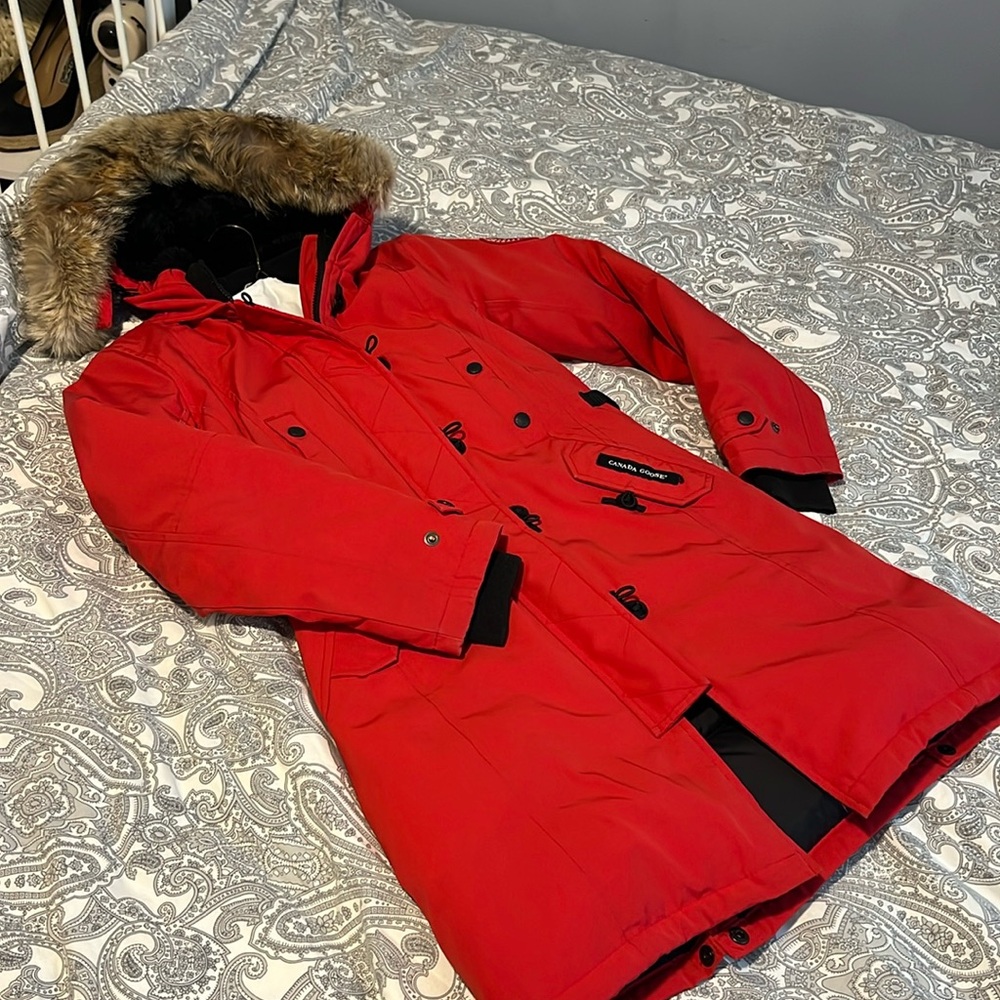 Authentic Winter Canada goose